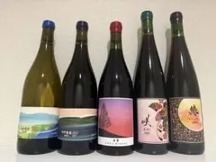 希少 日本ワインVINIQROBE, Sail the ship winely 希少 日本ワインVINIQROBE, Sail the ship winely - メルカリ