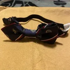 Item thumbnail for item 3f108fea-b558-490f-82ef-e36c226a9afd