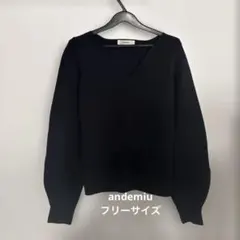 【美品】Andemiu Vネックニットのサムネイル