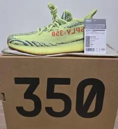 ADIDAS YEEZY BOOST 350 GLOW IN THE DARK - メルカリ