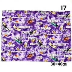I7 ランチマット 昆虫　カブトムシ　30×40