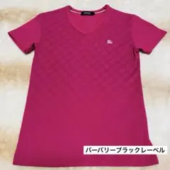 ★希少品★バーバリーブラックレーベルTシャツ♡大人気作★美品★