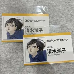 清水潔子 名刺セット キノイロスポーツ ハイキュー ファンパーク