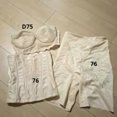 2026年最新】フォーシスアンドカンパニー インナー d70の人気アイテム