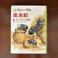 少年少女 ファーブル昆虫記 1 玉ころがしの観察
