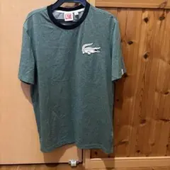 Lacoste グリーン Tシャツ