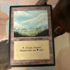 2026年最新】mtg エラー カードの人気アイテム - メルカリ