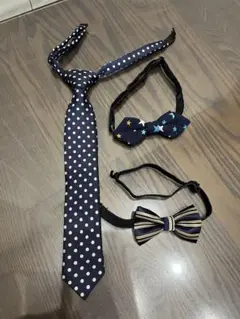 Item thumbnail for item 86da0331-3e51-4154-842c-ff9722d41c4e