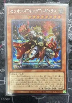 さと様 リクエスト 2点 まとめ商品