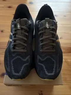 asics(アシックス) メンズ GT-1000 14 GTX 26.5センチ