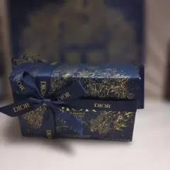 Dior Addict ギフトボックス ポーチ リップグロウ 乳液４点セット