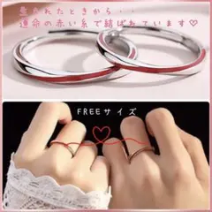 赤い糸 モビウスの環ツイストデザインリング カップルRing男女2本