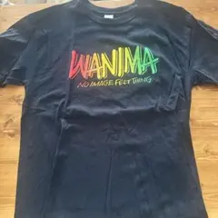 WANIMA カラフルロゴ Tシャツ ブラック