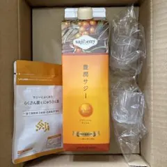 【未開封】豊潤サジー 3本セット sajiberry サジーのフィネス | 豊潤サジー通販 | サジーベリー通販