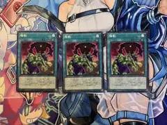 Item thumbnail for item ad1051c7-09da-4efb-9528-eea1fee1fc2c