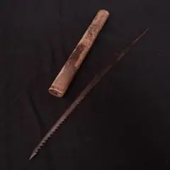 Item thumbnail for item 219a71fb-132a-43f7-878e-6237878668d8