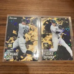 プロ野球チップスカード