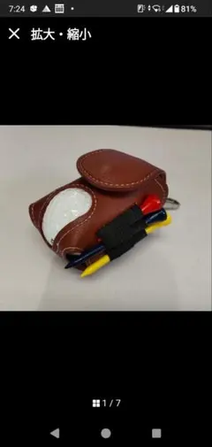 Item thumbnail for item 34f73f1e-6ad1-4262-be55-e306813cbc98