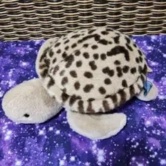 レトロ Earth Wind 亀 ぬいぐるみ セキグチのサムネイル