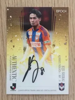 Item thumbnail for item 536ed26e-84e6-43f3-a724-7d13433e6090