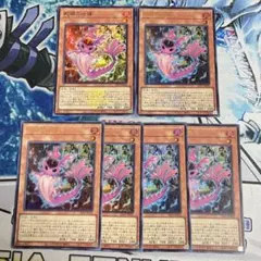 No.1897 WCS ロゴあり　ウルトラ　蛇眼の炎燐　6枚