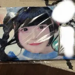 虹羽みにグッズまとめ売り - メルカリ