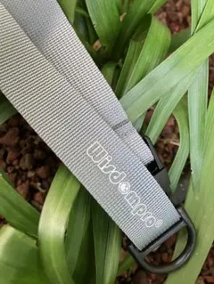 Item thumbnail for item abb4f683-a036-4ed1-907c-3de7164fa270