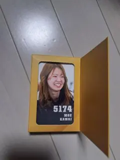 Item thumbnail for item d800c28b-452f-447b-8a93-2a0c3b8ffc7d