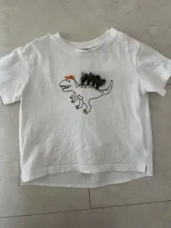 Item thumbnail for item b81bed2a-fe84-418b-b8d8-4b14d524a627