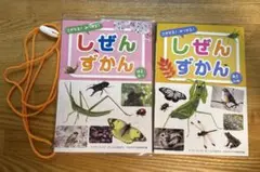しぜんずかん はるなつ　あきふゆ　2冊セットキンダーブック　フレーベル館