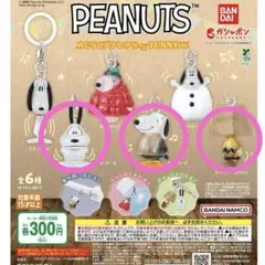 PEANUTS めじるしアクセサリー FUNNY ver.