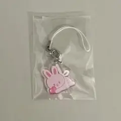 スキズ　STRAY KIDS リービット LEEBIT 入場特典