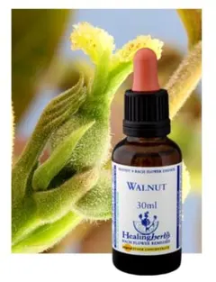 Naho様専用ページ■30mlウォルナットヒーリングハーブス社フラワーエッセンス