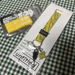 嵐 アンタイトル ネックストラップ & 5×20アクリルプレート　黄色　二宮和也