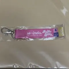 w-inds. キーホルダー 大阪 お土産 Another Golden