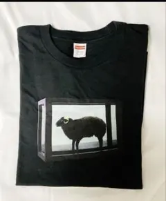 Supreme/Damien Hirst Tee - メルカリ