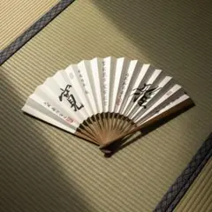 Item thumbnail for item 894d4b7a-37b0-4bf7-928e-a347374ce9d5