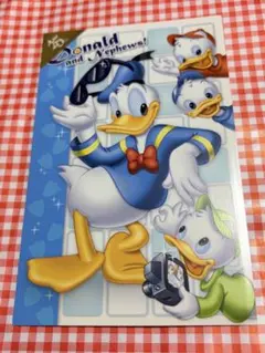 ドナルドダック　ディズニーストア　25周年　限定ポストカード