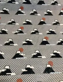 シングルガーゼ　富士山　市松模様　新幹線　黒地　生地　1m