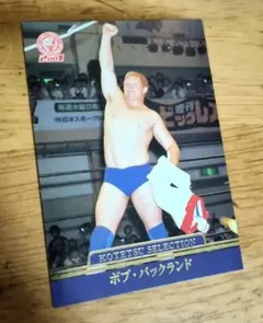 ジョシュ・バーネット PRIDEカードコレクション - メルカリ