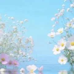 ゆうき様 U^ェ^U専用(=^x^=)