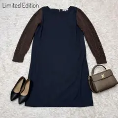 Item thumbnail for item 41898abc-8831-469b-b197-bfcc55b6274f