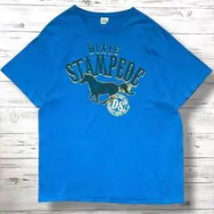 DELTA PRO WEIGHT Tシャツ デカロゴ 馬 F 0209