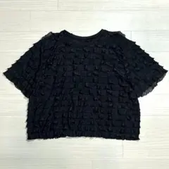 エメルリファインズ/EMウシロカシュフリルTシャツ/総フリルカットソーのサムネイル