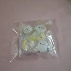 アミュキャラ　ぷっくりんちょシール　ふくふくシマちゃん②のサムネイル