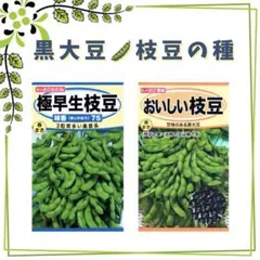 cool様 リクエスト 3点 まとめ商品