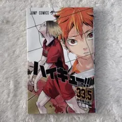 【ハイキュー!! 】33.5 映画入場特典