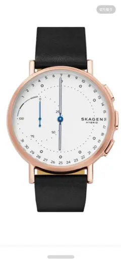 SKAGEN HYBRID スカーゲンスマートウォッチ ゴールド ユニセックス