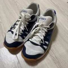 高校生　体育館シューズ　アシックス　紐履　青　紺色　白　25.0cm
