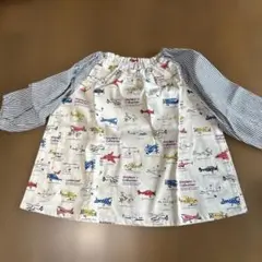 Item thumbnail for item acf18f52-634e-4470-b258-5da0906d4a0d